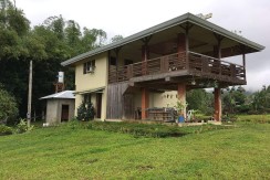 Developed Farm Lot For Sale in Balamban Cebu